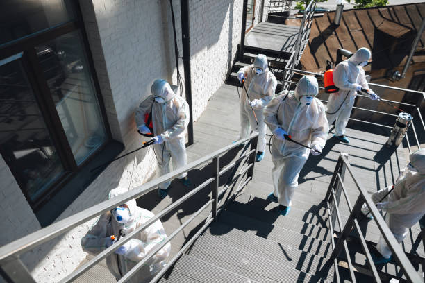 Best Black Mold Removal  in Bonifay, FL