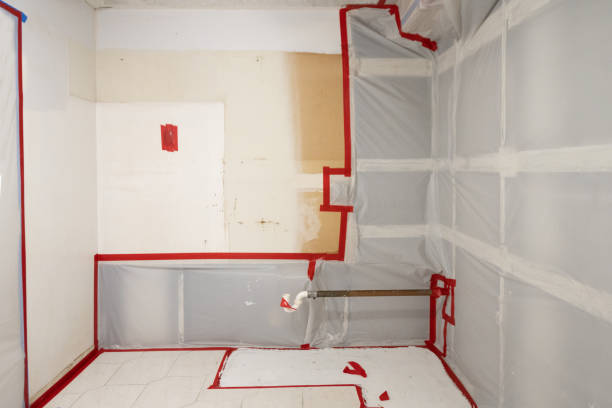 Best Mold Documentation for Insurance Claims  in Bonifay, FL