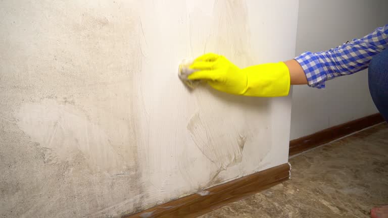 Mold Removal for HVAC Installations in Bonifay, FL